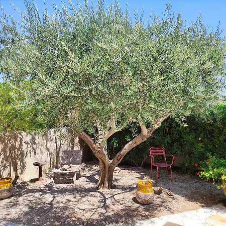 Les Térrasses De * Saint-Tropez