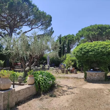 Les Terrasses De Appartement *