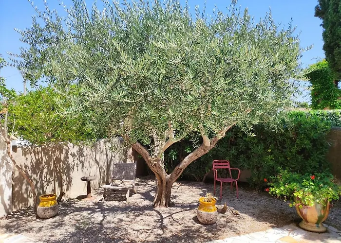 Les Terrasses De * Saint-Tropez
