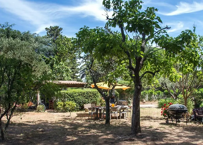 Daire Les Terrasses De *